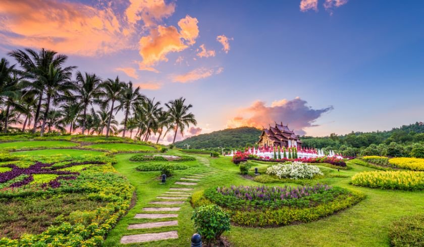 chiang mai showing that it has lush greenery and beautiful temples, perfect for wellness. 