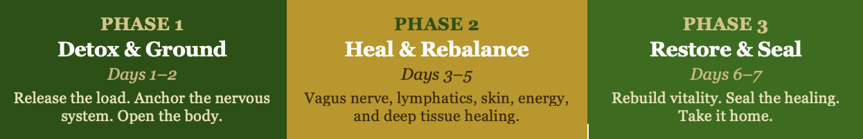 3-phase program structure