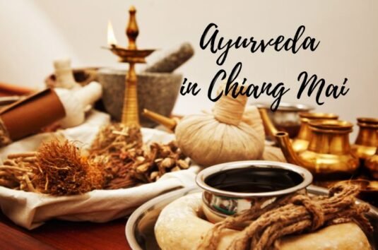 Image Shows Thai Herbs Used Ayurveda Treatments In Chiang Mai.