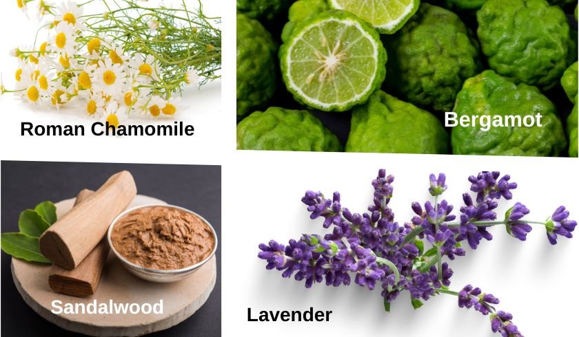 roman chamomile, lavender, bergamot and sandalwood - essential oils for sleep